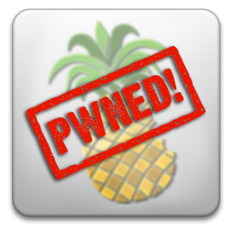 pwnagetool-pwned